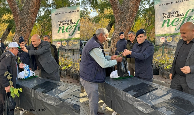BULDAN IHLAMUR KOKACAK