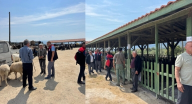 KURBAN PAZARINDA DENETİM