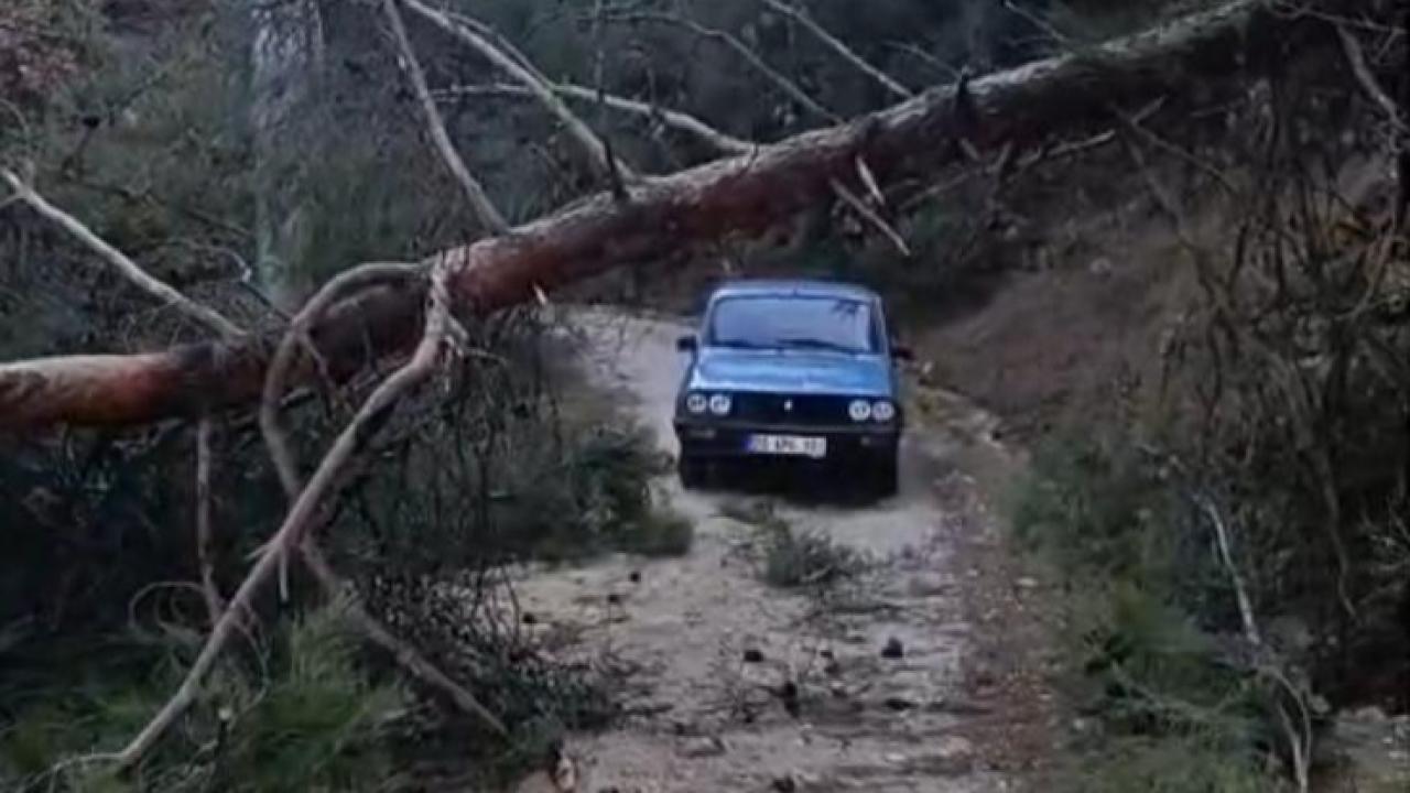 DEVRİLEN AĞAÇLAR YOLU KAPATTI