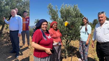 ÜRETİCİYE ZEYTİN SİNEĞİNE EKOLOJİK ÇÖZÜM DESTEĞİ SUNULDU