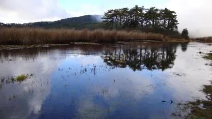 YAYLA GÖLÜ YENİDEN KİRAYA ÇIKIYOR